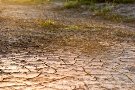 74年來最嚴重缺水！烏拉圭6成國土嚴重乾旱　民眾只能喝海水解渴