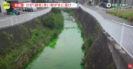 影/日本奈良河川呈現詭異「螢光綠」　水中檢測出化學物質「螢光素」