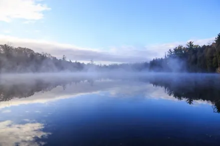 加拿大湖泊找到「人類世」證據　科學家：地球生物學已巨變