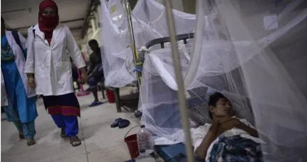 孟加拉爆嚴重登革熱疫情！已3.3萬人患病　專家估「登革熱年」恐破百萬人染病