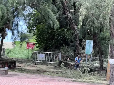 杜蘇芮掃過滿地瘡痍...虎頭埤風景區休園2天　台南9成觀光景點恢復開放