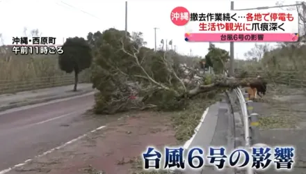 卡努挾強風豪雨襲沖繩　民眾直擊「摩拖車掛電線桿」