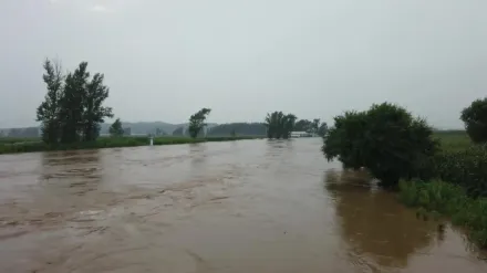 杜蘇芮颱風持續發威！吉林舒蘭市迎來多日強降雨　1人遇難、副市長失聯