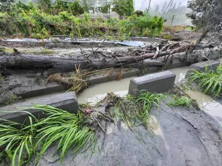 南投仁愛鄉主要道路幾乎癱瘓　綠委曝台14線搶通進度