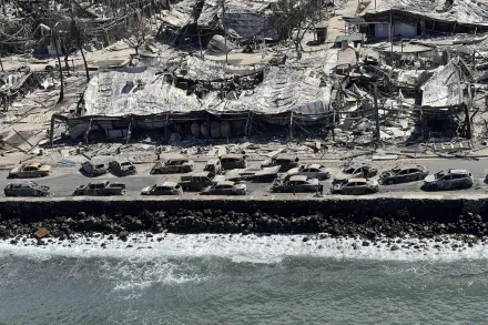 夏威夷野火死亡數增至80人　創下州史「最多罹難者」天災紀錄