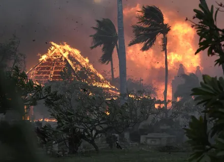 影/變「人間煉獄」！夏威夷天堂島大火奪80命　民眾逃生被迫狠心棄屍