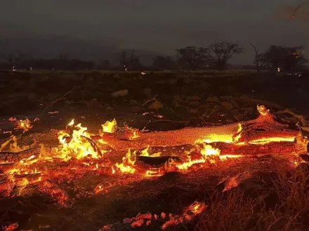 夏威夷野火已96死！州長：每天恐尋獲10至20罹難者