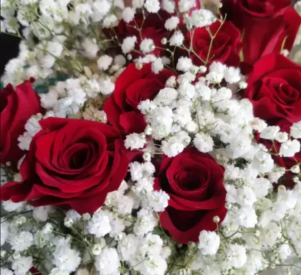 愛在七夕/玫瑰買氣漲3成　送花給另一半注意12星座「花色、數量」更浪漫