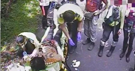 虎頭蜂攻擊！新竹鴛鴦谷瀑布7山友遭螫傷　1人呼吸困難休克險喪命