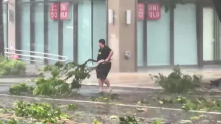 海葵颱風/台東熱心駕駛不畏強風豪雨　冒險移走斷裂路樹