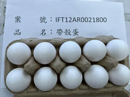 快訊/巴西進口雞蛋不合格1批共83公噸！食藥署下令全數銷毀或退運