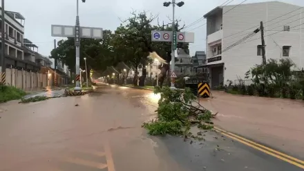 海葵颱風/暴雨狂炸台東市！道路積水嚴重　綠色隧道變「河道」