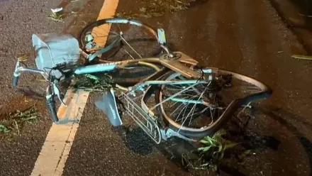 抓到了！台東8旬單車翁被撞死　肇事婦落網稱：不知道撞到人