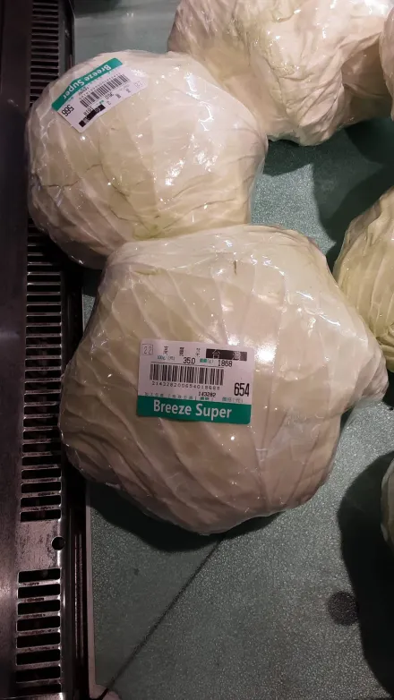 海葵颱風/沒有看錯！高麗菜「1顆654元」　網酸爆：「貴婦超市」