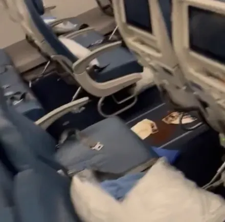 影/航班飛行途中遇乘客腹瀉「炸屎」　機艙瀰漫惡臭336人被迫返航