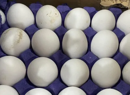 台農蛋品認了！巴西雞蛋「誤標效期」　全面回收下架
