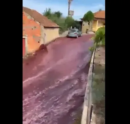 影/葡萄牙儲酒槽爆裂220萬公升紅酒外洩　小鎮街道遭淹沒成另類洪災
