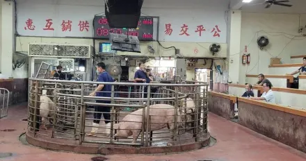 阻豬拍賣勒贖！彰化肉品市場遭駭停市一天　損失約兩千萬