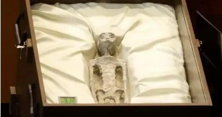 墨西哥國會聽證會展示「2外星人遺骸」　專家掛保證：千年前來到地球