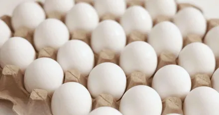 雞蛋怎麼挑？專家揭選購3重點：不宜買進口蛋　包裝少「1標示」別買
