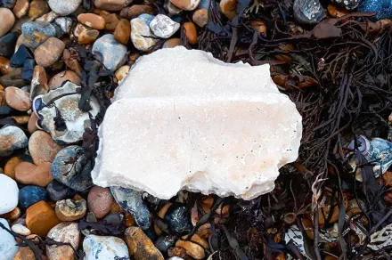 英國沙灘不明巨石竟是「棕櫚油塊」沖上岸　專家示警：養狗民眾要當心了