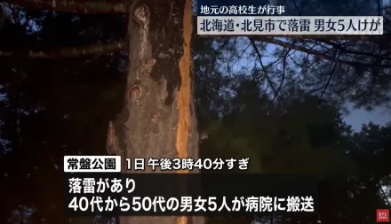 影/北海道公園發生雷擊意外　樹木遭劈裂5人觸電送醫