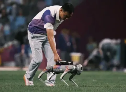 影/杭州亞運/世界首次！機器狗變身鐵餅「搬運工」　網友笑：賽場上它最忙