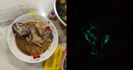 嚇壞！紅燒魚出現綠色螢光！專家揭「染發光細菌」不排除對身體傷害！
