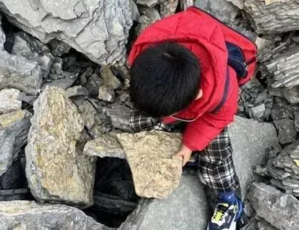 5歲弟爬山撿到「怪石頭」　專家鑑定證實：5億年前古生物化石