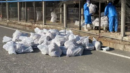 雲林斗六雞場爆H5N1禽流感確診　撲殺2萬隻雞、銷毀近5萬顆蛋