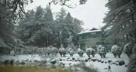 福壽山農場超狂傳說　「有這條件」寒流來也不會下雪