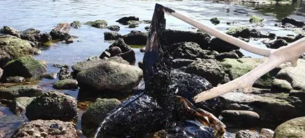 基隆潮境公園驚見黑色濃稠物！　經環保局勘查確認為重油汙染