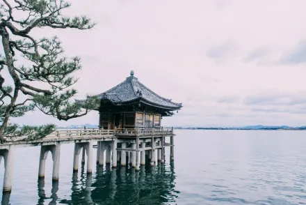 影/日本最大湖泊「琵琶湖」水位下降　遊客竟可徒步抵「湖中島」