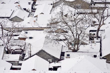 慎防暴雪！北京全市中小學師生13日暫停到校　企業彈性辦公、景點關閉