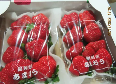 快訊/「日本草莓」又出包！227公斤「農藥殘留」食藥署示警：實施最嚴格查驗