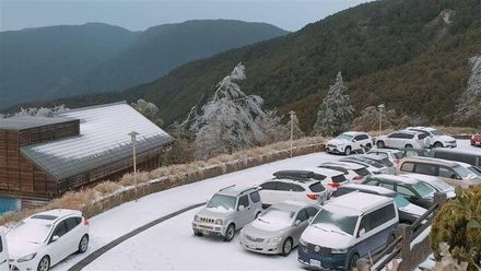 上山追雪「開車窗」慘了！他剛睡醒「全車冰封」慘受困　-9度低溫冷爆