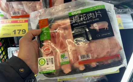來源豬場檢驗結果合格　台糖重申從未購買使用瘦肉精養殖