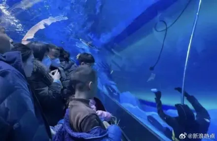 海洋館潛水員「沉池底不動」長達10分鐘不幸溺斃　遊客嚇：以為假人