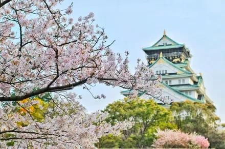 遊大阪恐變貴！應對「觀光公害」　當地擬對外國旅客收費
