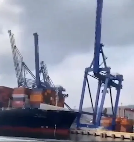 影/陽明海運貨輪土耳其進港事故　起重機「骨牌式」坍塌42秒影片曝光