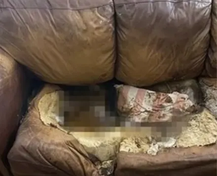 36歲女被扔沙發12年！全身腐爛長蛆「融化沙發上」死亡