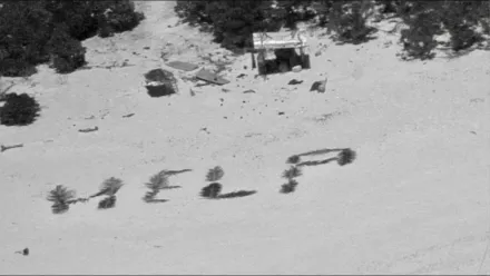 3名男子出海受困小島整整一周　用樹葉拼出「HELP」求救奇蹟生還