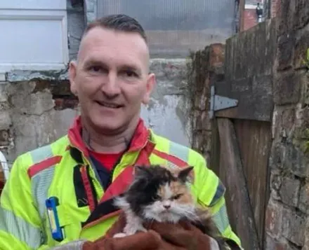 氣噗噗！小貓受困牆壁中消防員辛苦救出　竟對救命恩人擺臭臉笑翻網