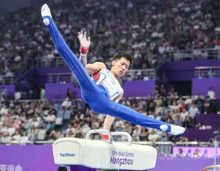 台灣「鞍馬王子」李智凱參加奧運最後希望！體操協會：全力爭取外卡