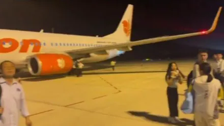 剛起飛「轟一聲」引擎冒火花！泰國獅航濟南飛曼谷航班遭鳥擊急折返