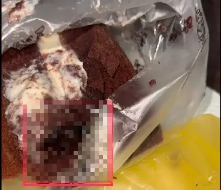 巧克力蛋糕咬一口聽到卡滋卡滋聲！吐出驚見「咬碎大蟑螂」　店家回應了