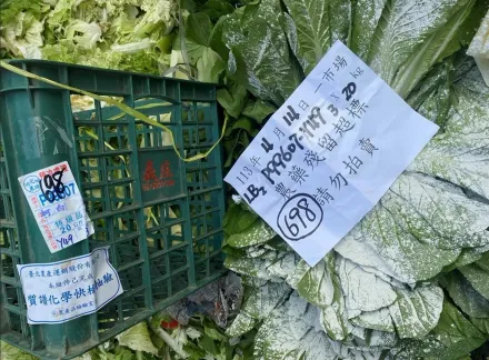 太嚇人！批發市場「3蔬菜農藥超標」共銷毀3.6萬公斤　3縣市產出最多