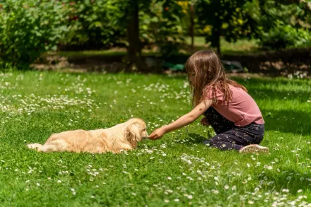 5月大女嬰在家遭「寵物犬撕咬」家人竟不知道！多處撕裂傷送醫不治