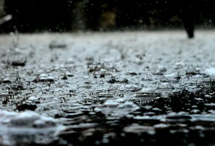 午後雷雨下不停！　賈新興曝未來10天降雨趨勢