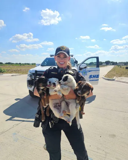 影/38°C高溫！8萌犬遭遺棄鎖車上「差點被烤死」　幸獲正妹女警救出